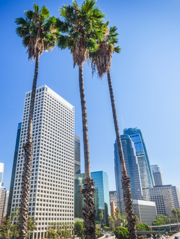 Tall palm trees in front of downtown Los Angeles office towers under a clear blue sky